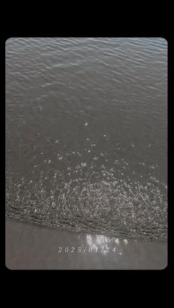 大好きな場所の記事動画