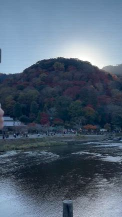 京都一泊二日の旅の記事動画