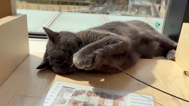 ランフラットタイヤ？ノーマルタイヤ？の記事動画