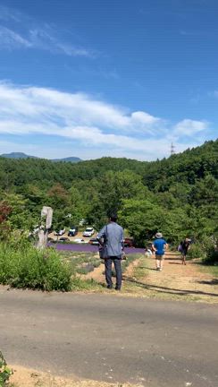 幌見峠ラベンダー園への記事動画