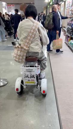 2026年☆インターペット～乗れます！の記事動画