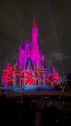 東京】3️⃣DPAでReach for the Stars。舞浜納めかなー | 海外