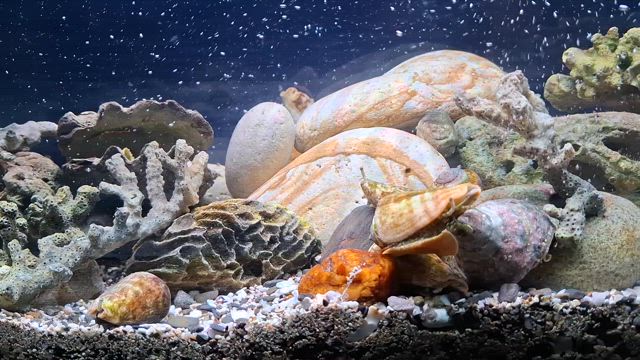 福岡～のの記事動画