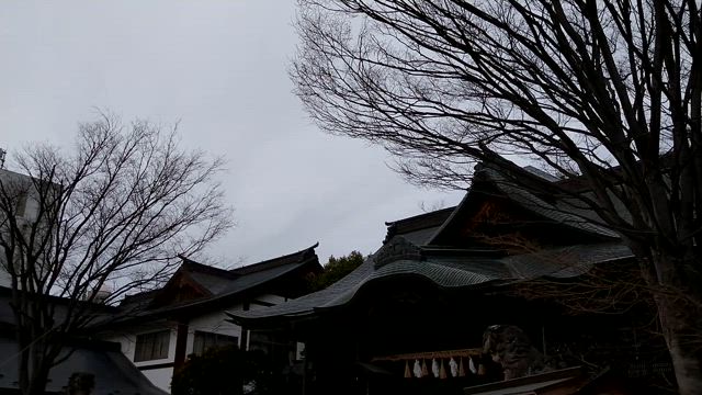 2023年3月21日、最強トリプル超開運日！！の記事動画