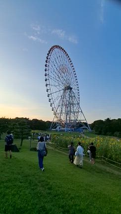 安近短！都区内パスで行ける♪葛西臨海公園ひまわり畑の記事動画