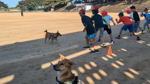 かけっこの記事動画