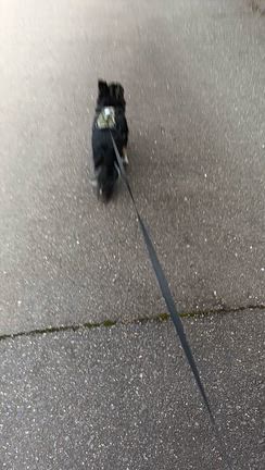 　　　ハーネス新の記事動画