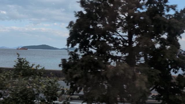 家族旅行、2月22日の日曜日、2026の記事動画