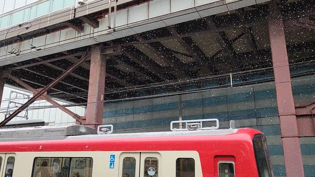 雪の中、映画を観るため横浜への記事動画