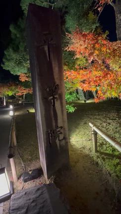 水面に映る「平等院鳳凰堂」ライトアップの記事動画