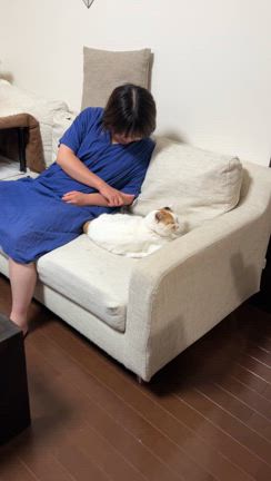 我が家の異臭さわぎ！の記事動画