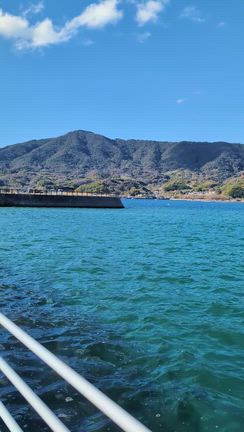 自然、出会い、ご縁に感謝の記事動画