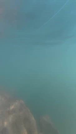 キープキャスト2日目も皆様の御来店お待ちしてます！の記事動画