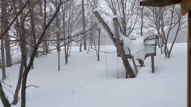 お湯が出ないの記事動画