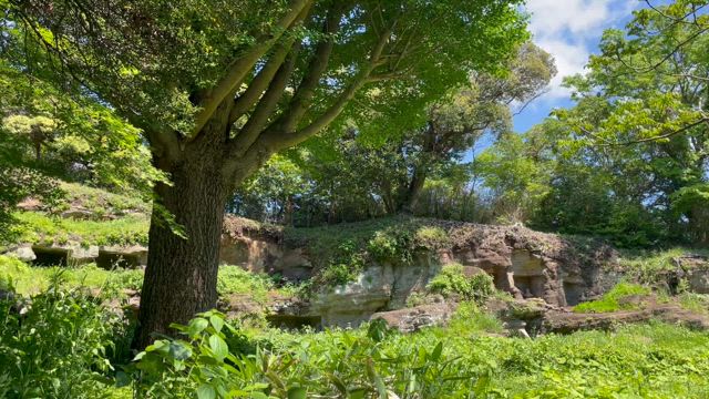 ◆鎌倉散歩１　まんだら堂やぐら群の記事動画