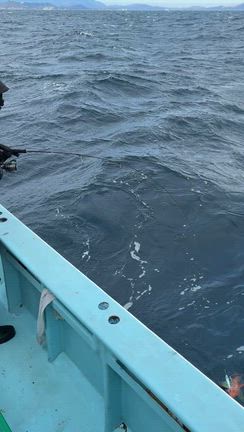 2月17日(火)  まだまだ好調ですの記事動画