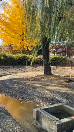 またバッテリーが⋯( ºΔº )〣の記事動画