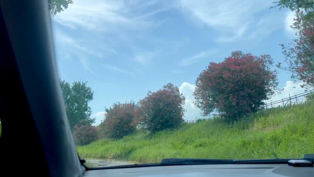 昨日ブルーインパルス見てきたスポット~♪の記事動画