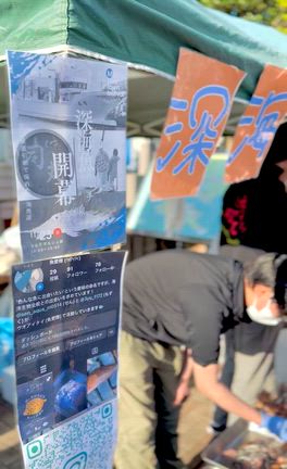 三崎港町まつりの記事動画