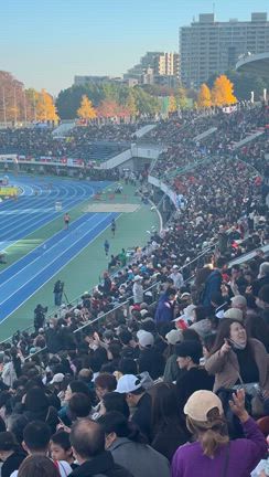 デフリンピック応援観戦 駒澤競技場　の記事動画