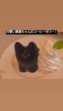 8月の病院帰りの記事動画