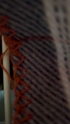 徳島名産♪の記事動画