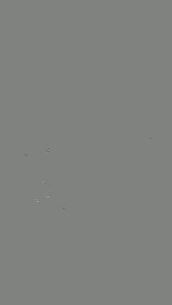 時化続きの2月の釣りの記事動画