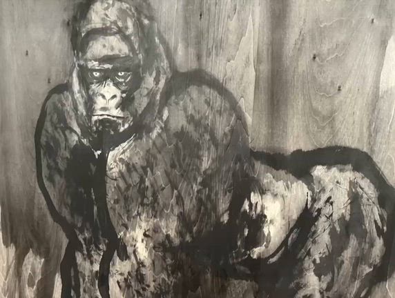 ♦️Gorilla♦️の記事動画