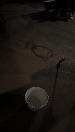 ディズニーシーで楽しんだ贅沢な大人のインパ時間♡の記事動画