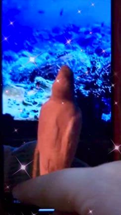 愛する者の命を守れない痛みの記事動画