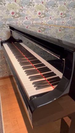 防音室、そしてピアノが我が家にやってきた〜番外編・その３〜の記事動画