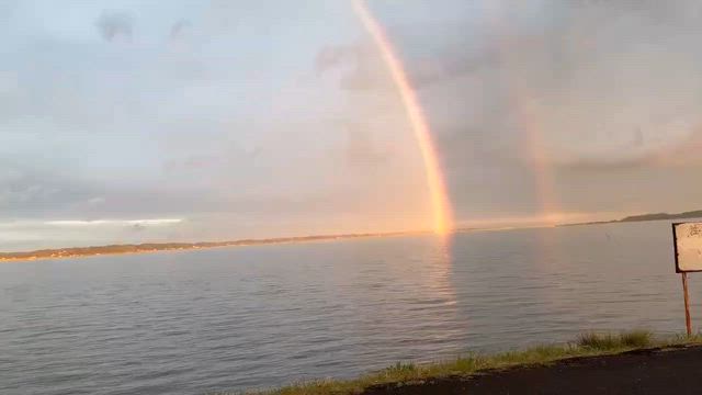 4/5（日）写真や動画で癒されるの記事動画