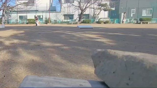 練習の記事動画