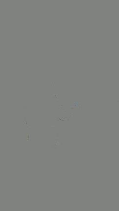 おかんブログ開設10周年記念イベントレポです♡の記事動画