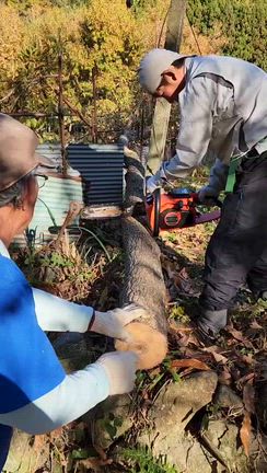 足が腐りません様に…(^_^;)の記事動画