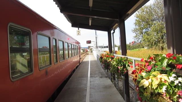 干柿アイス（薪の音、南砺市野口）の記事動画