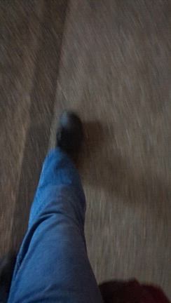 ただいまの記事動画