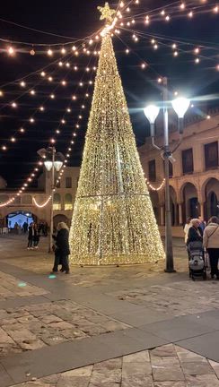 スペイン滞在記2025 その8の記事動画