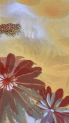 クェート【おすすめ】パビリオン　関西万博の記事動画