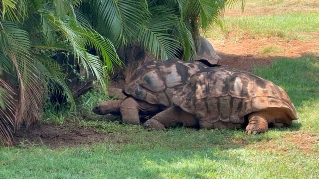 会いたかった方たちの記事動画