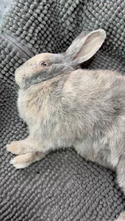 素敵なお届け物ヾ(o´∀｀o)ﾉﾜｧｰｨ♪の記事動画