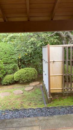 毎年╰(*´︶`*)╯♡の記事動画