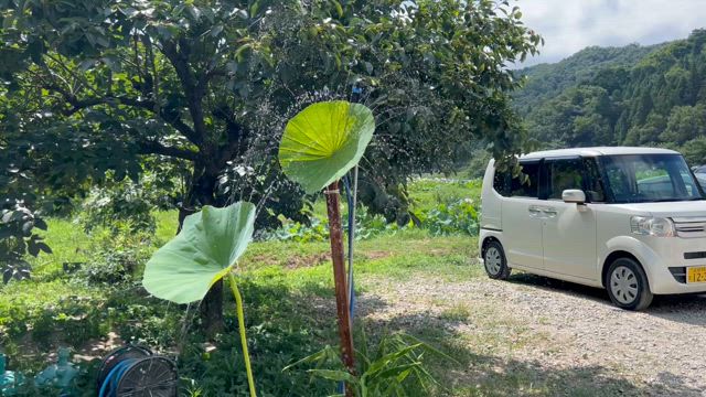 花は見るもの？食べるもの！の記事動画