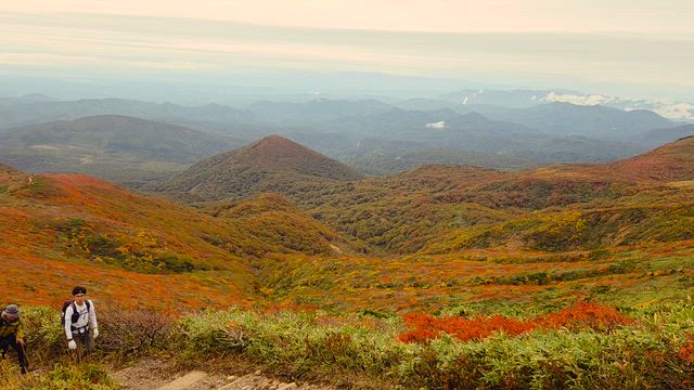 通院デー。エンハーツー６の記事動画