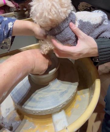 ［今彼さん］伊豆高原。プーちゃんとの想い出作り♡の記事動画