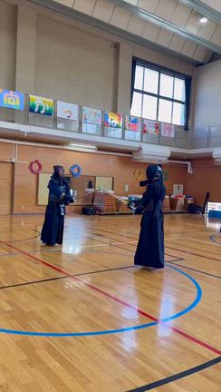 剣の道の記事動画