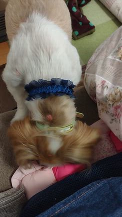 大切な思い出。&太極拳の動画の記事動画