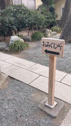 山下智久×菊池風磨「旅トモ」in 逗子・葉山～予告を見て行ってみたの記事動画