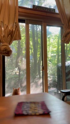 夏は来ぬの記事動画