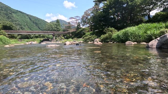 夏休み！！自然と戯れ♪の記事動画